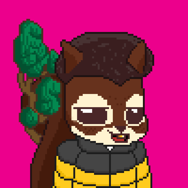 Pixel Squirrels #220